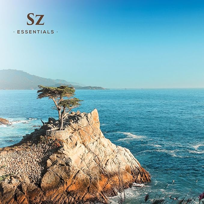 Cypress Essential Oil (Cupressus sempervirens) - 100% Pure & Undiluted - Fresh Crisp & Woody Aroma with Overtones of Earth and Evergreen - Therapeutic Grade and Vegan - 0.17 oz (5ml)