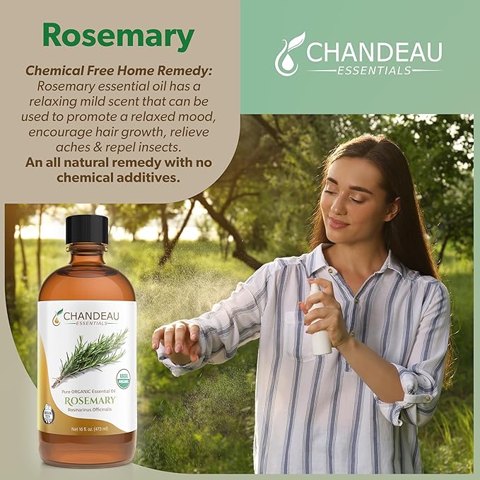 100% Pure Organic Essential Oil, Pure Rosemary Essential Oil for Aromatherapy, Soap Making, Candles, Laundry, Perfume, Cleaners or Diffusers - Large Amber Glass Bottle, 16 oz.