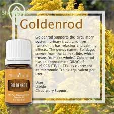 Goldenrod Essential Oil | 5 ml | Warm & Uplifting Aroma for Diffusing, Topical Use, & DIY Blends | 100% Pure Essential Oil with Young Living’s Seed to Seal® Quality Commitment