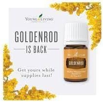 Goldenrod Essential Oil | 5 ml | Warm & Uplifting Aroma for Diffusing, Topical Use, & DIY Blends | 100% Pure Essential Oil with Young Living’s Seed to Seal® Quality Commitment