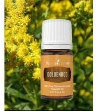 Goldenrod Essential Oil | 5 ml | Warm & Uplifting Aroma for Diffusing, Topical Use, & DIY Blends | 100% Pure Essential Oil with Young Living’s Seed to Seal® Quality Commitment
