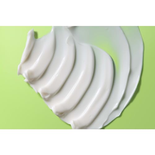 Burt's Bees Back To School Dorm Essentials, Calming Night Cream, With Aloe and Rice Milk, Face Moisturizer For Sensitive Skin, 98.8 Percent Natural Origin, 1.8 oz. Tub