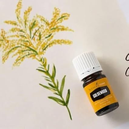 Goldenrod Essential Oil | 5 ml | Warm & Uplifting Aroma for Diffusing, Topical Use, & DIY Blends | 100% Pure Essential Oil with Young Living’s Seed to Seal® Quality Commitment