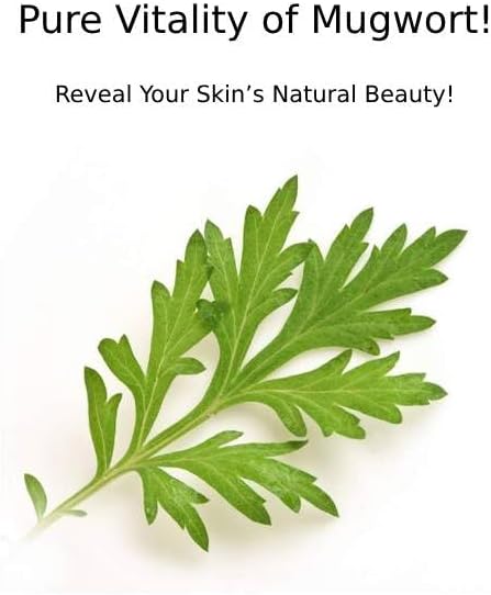 CHARMZONE Mugwort Skin The Original 4.06oz - Made with Mugwort Extract, Refreshing and Nourishing for Hydrated Skin