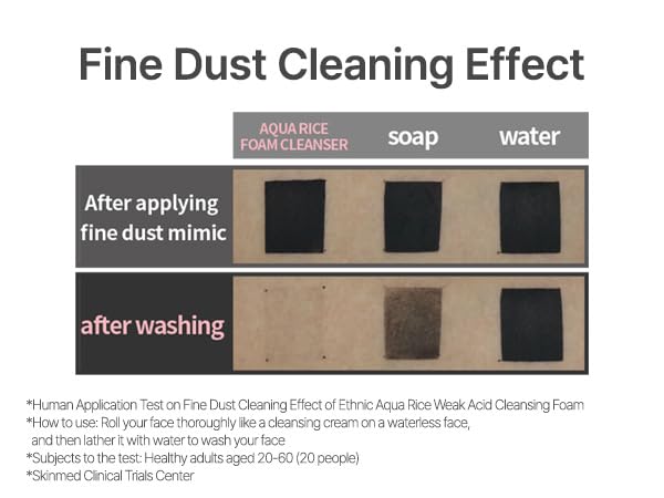 AQUA RICE FOAM CLEANSER | Facial Cleanser, Rice Extract Rice Powder Cleanser with Mild Cleansing, Glycerin,Vegan, Face Wash, Korean Skincareㅣ 160ml 5.4 Fl Oz