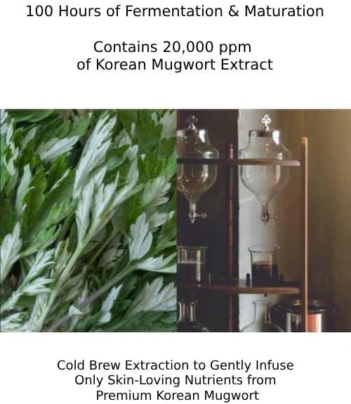 CHARMZONE Mugwort Skin The Original 4.06oz - Made with Mugwort Extract, Refreshing and Nourishing for Hydrated Skin