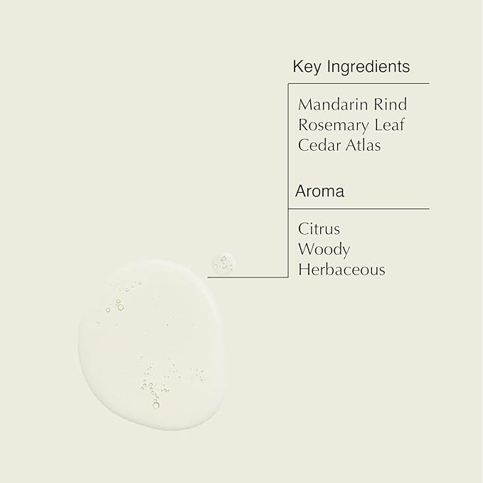 Aesop Resurrection Aromatique Hand Wash & Refill | Non-Drying Gentle Gel Hand Wash with Orange, Rosemary and Lavender Oils | 16.9oz / 500mL (Pack of 2)