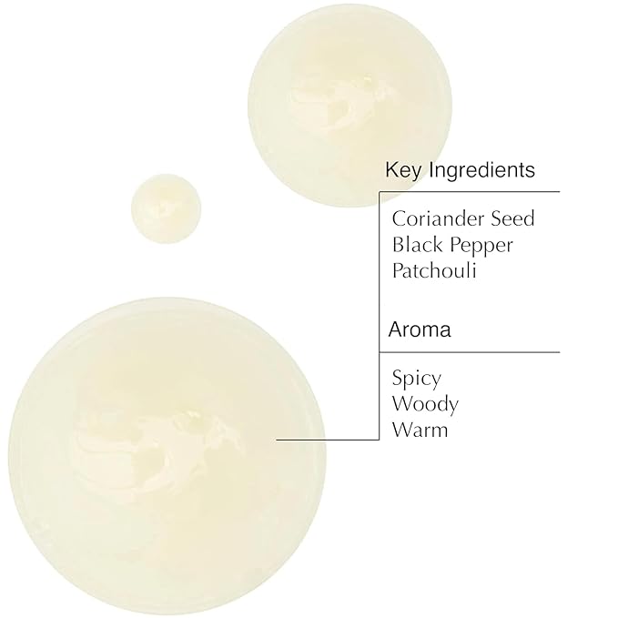 Aesop Coriander Seed Body Cleanser + Refill | Refreshing & Invigorating | Spicy, Woody, Warm | 16.9 oz / 500mL (Pack of 2)