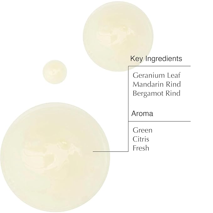 Aesop Geranium Leaf Body Cleanser Refill | Invigorating Gentle Cleansing Gel | Green, Citrus, Fresh | 16.9 fl oz (Pack of 3)