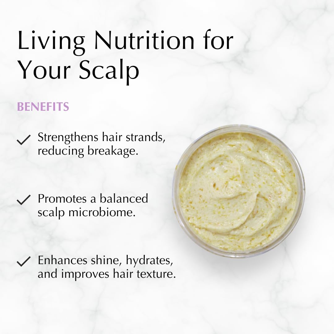 Citrus Cider Whip Hair Plaster | Vitamin C Infusion for Luminous Hair | Fruit Butters, Orange Peel Serum, Argan & Coconut Oils Create The Shimmer Effect For Uplifted Hair & Mood | 3 oz