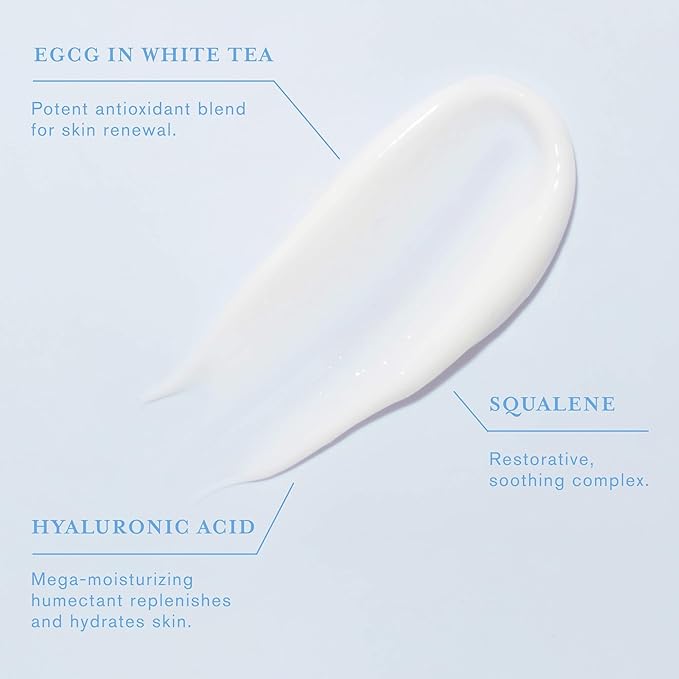 DERMAdoctor Redness & Itchy Skin Relief Calm Cool + Corrected Tranquility Cream for Sensitive Skin | moisturizing face cream Hydration with Squalane & Hyaluronic Acid White Tea Extract – 1.7oz