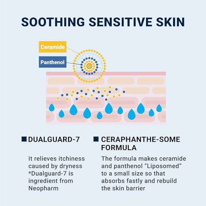 Derma B CeraMD Repair Cream Wash, Unscented Fragrance Free Creamy Face & Body Cleanser for Dry Sensitive Itchy Skin, Deep Moisture Paraben-Free Body Wash, Cream to Foam Cleanser, 13.5 Fl. Oz., 400ml