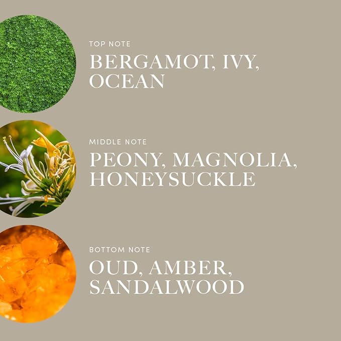 Aroma360 | Disney Under The Sea Fragrance Oil Blend | The Little Mermaid | Princess Ariel | Luxury Essential Oil Diffuser | Aromatherapy Scent Diffuser Oil | Bergamot, Ivy and Ocean 1.7 fl oz, 50 mL