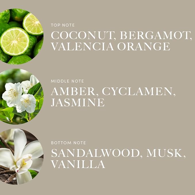 Aroma360 | Disney Down in New Orleans Fragrance Oil Blend | The Princess and The Frog | Princess Tiana | Aromatherapy Scent Diffuser Oil | Coconut Bergamot Valencia Orange 16.9 fl oz 500mL