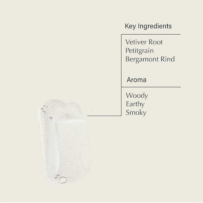 Aesop Reverence Aromatique Hand Wash + Refill | Gentle Exfoliating Hand Wash with Botanical Extracts And Finely Milled Pumice | 16.9oz / 500 mL (Pack of 2)