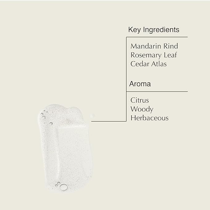 Aesop Resurrection Aromatique Hand Soap, Geranium Leaf Body Wash| Paraben, Cruelty-free & Vegan | 16.9 oz