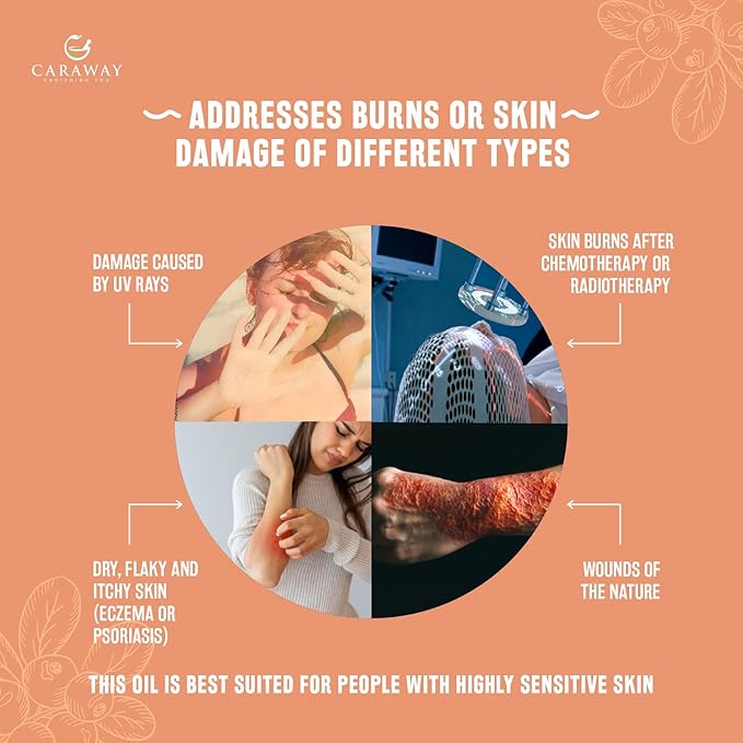 CARAWAY Sea Buckthorn Seed Oil – 1 Fl Oz | Sea Buckthorn Oil for Face | Super Critical Extract of Himalayan Sea Buckthorn Seeds