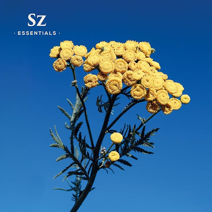 Blue Tansy Essential Oil – 100% Pure & Natural, Undiluted – Sweet, Herbaceous, Floral Aroma – Premium Aromatherapy Grade – 0.17 fl oz (6.5 mL) - Therapeutic Grade & Vegan