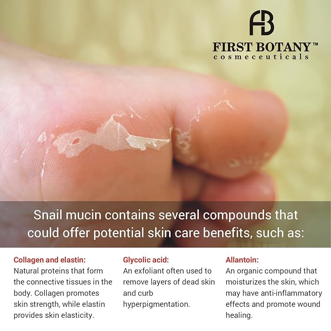 ALL Natural Body Wash - Fights Body Odor, Athlete’s Foot, Jock Itch, Nail Issues, Dandruff, Acne, Eczema, Shower Gel for Women & Men, Skin Cleanser -16 fl oz (Tea Tree Snail Mucin)