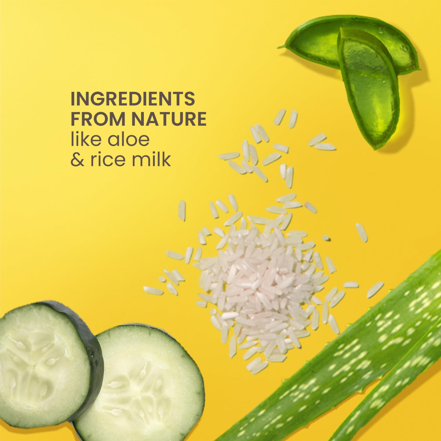 Burt's Bees Back To School Dorm Essentials, Calming Night Cream, With Aloe and Rice Milk, Face Moisturizer For Sensitive Skin, 98.8 Percent Natural Origin, 1.8 oz. Tub