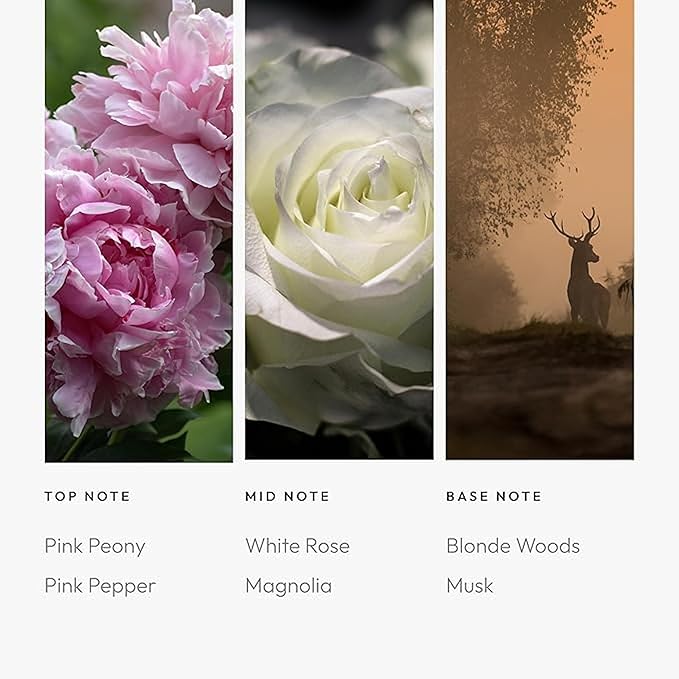 Aroma360 Timeless 120mL