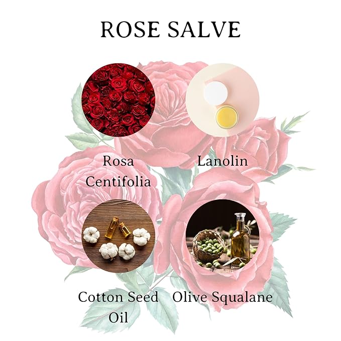 C.O. Bigelow All Purpose Salve Lip Balm Tins, Rose Salve Pack of 3 for Chapped Lips & Dry Skin - Moisturizing Lip, Cuticle 0.8 oz each