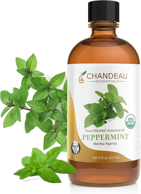 100% Pure Organic Essential Oil, Pure Peppermint Essential Oil for Aromatherapy, Soap Making, Candles, Laundry, Perfume, Cleaners or Diffusers - Large Amber Glass Bottle, 16 oz.
