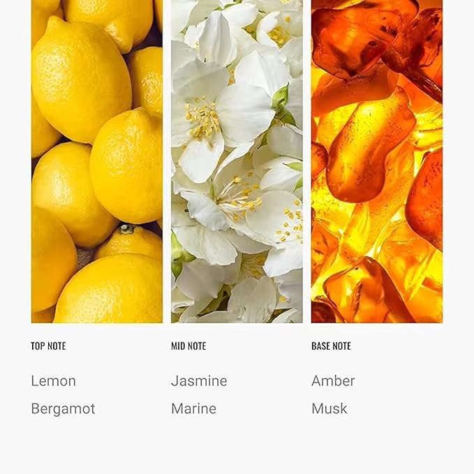 Cabana Diffuser Oil 50mL - Hotel Scented Essential Oils for Home - Lemon, Bergamot, Jasmine, Amber & Musk - Inspired by The Ritz Carlton - Antal Hayat Luxury Aromatherapy Oil