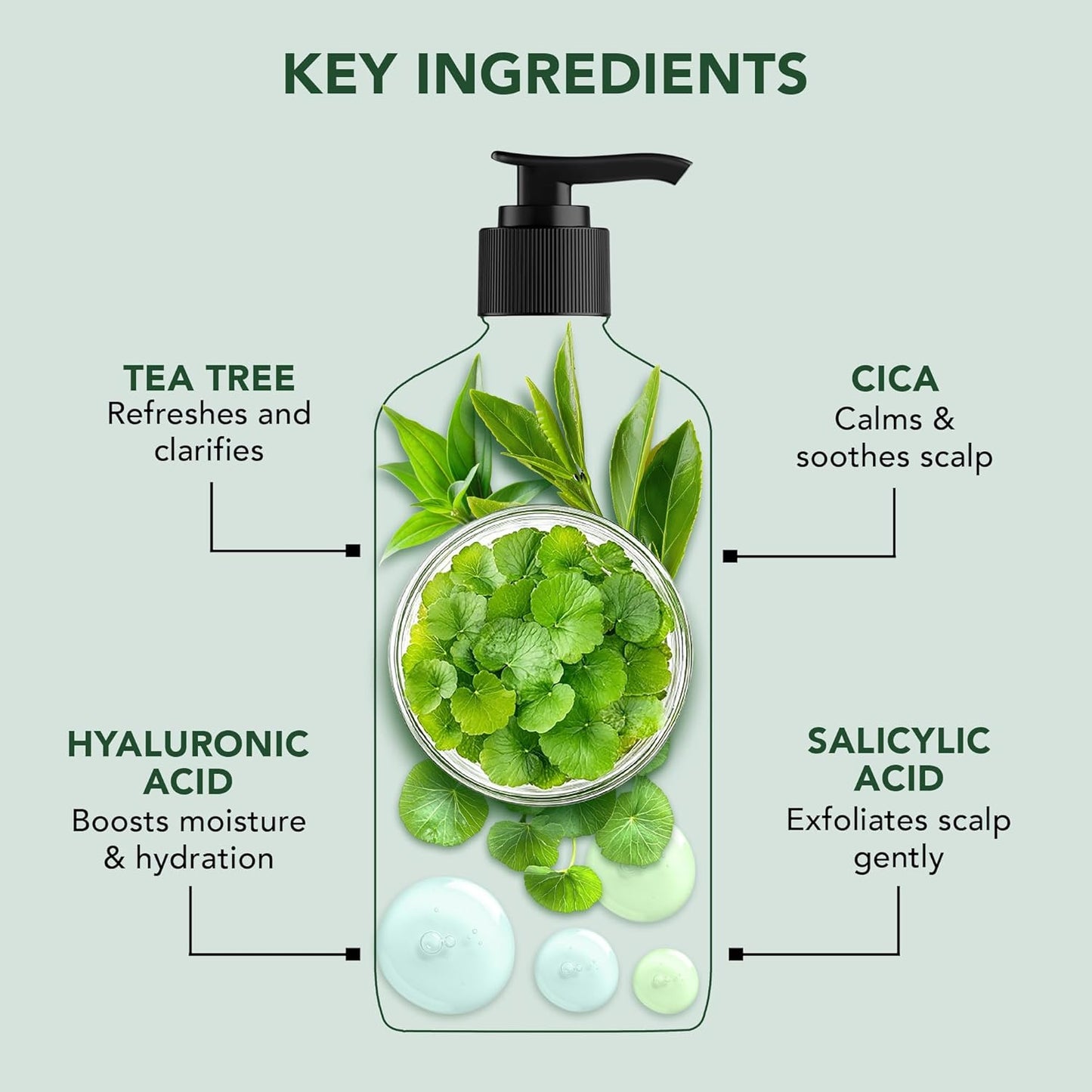 Botanic Hearth Tea Tree Shampoo Infused With Cica, Hyaluronic Acid & Salicylic Acid | Clarifying Shampoo To Repair, Restore & Strengthen Hair | Paraben & Sulfate Free | For All Hair Types, 16 Fl Oz
