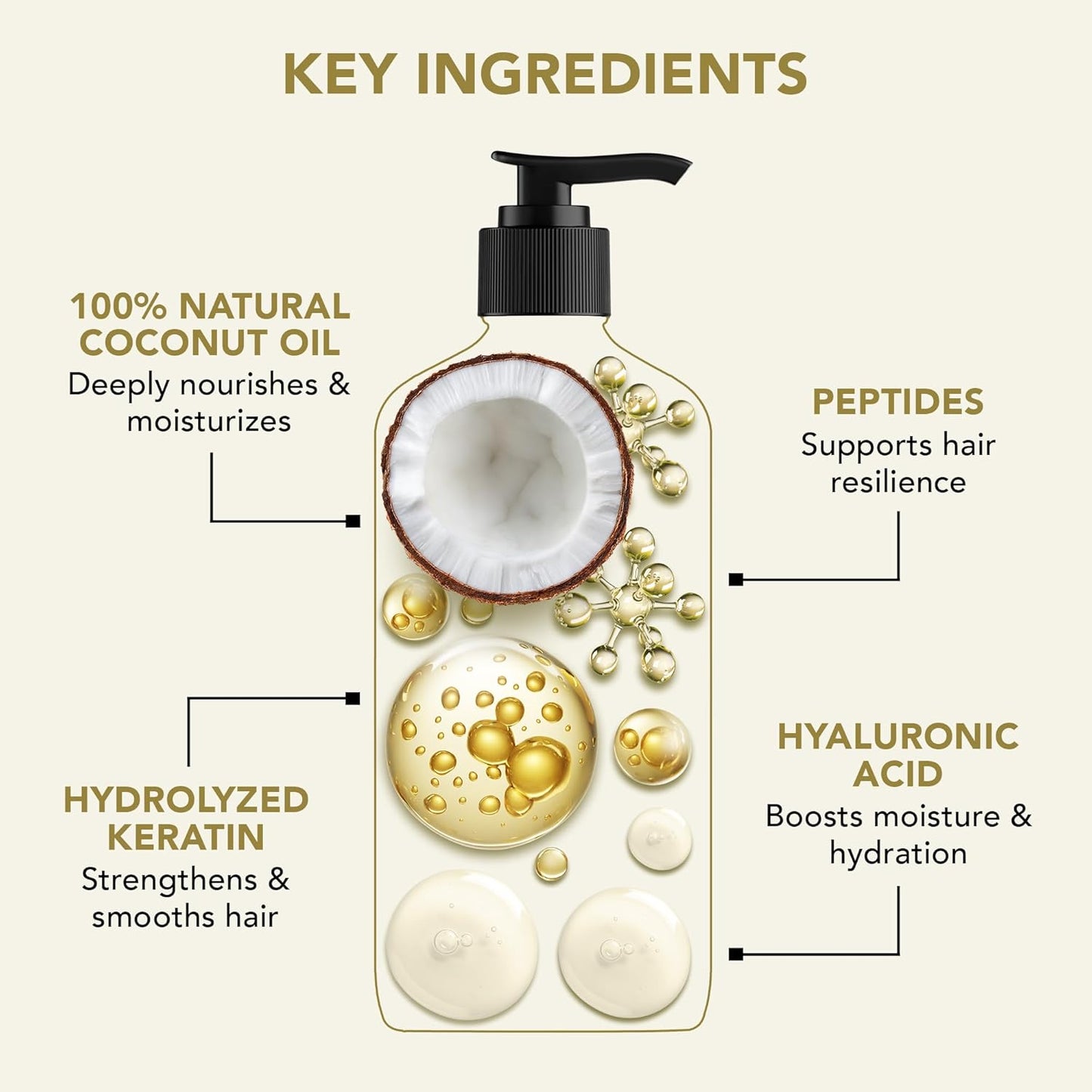 Botanic Hearth Coconut Oil Shampoo Infused With Hyaluronic Acid, Hydrolyzed Keratin & Peptides | Clarifying Shampoo To Defrizz, Repair & Strengthen Hair | For All Hair Types, 16 Fl Oz