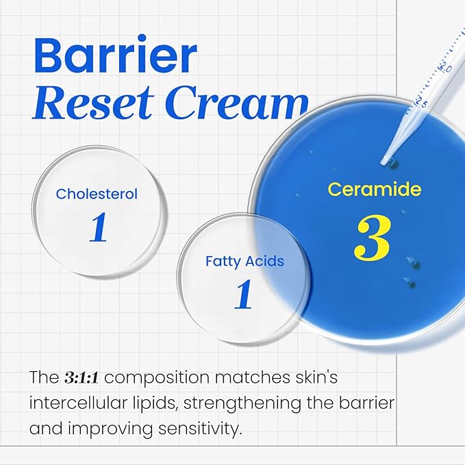 CNP Barrier Reset Cream - Deep Hydration, Strengthen Barrier, Ceramide, Suitable for Dry, Sensitive Skin, Korean Skin Care, 2.7 fl. oz.