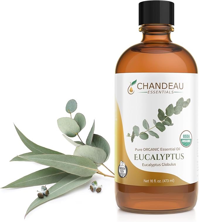 100% Pure Organic Essential Oil, Pure Eucalyptus Essential Oil for Aromatherapy, Soap Making, Candles, Laundry, Perfume, Cleaners or Diffusers - Large Amber Glass Bottle, 16 oz.