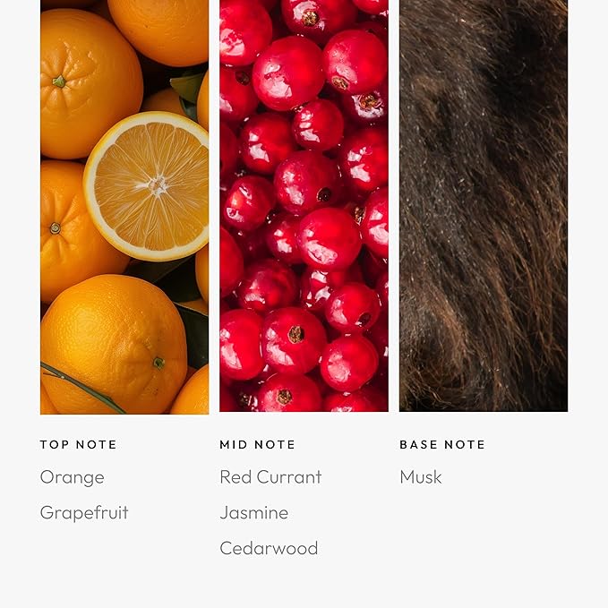 Aroma360 November Rain 120mL