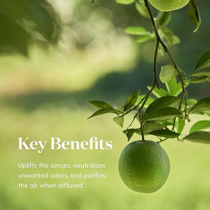 Young Living Lime Essential Oil - 15ml of Pure Aromatherapy Bliss: Awaken Your Senses with a Refreshing Citrus Fragrance - Premium Grade for Diffusion and Topical Use