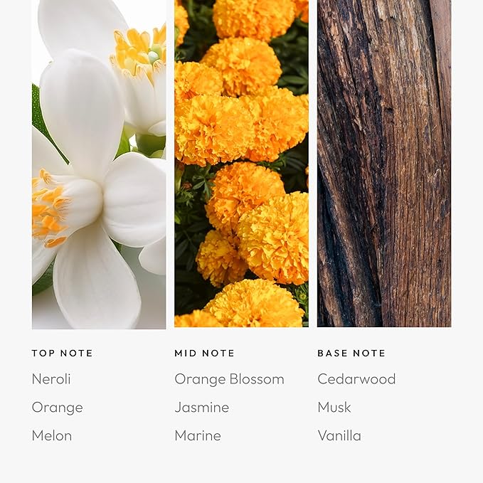 Aroma360 Skyfall 200mL