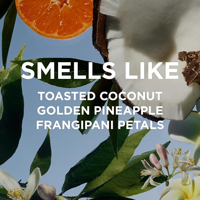 By Rosie Jane Everyday Body Wash (Missy) - Hydrating Body Wash Made with Organic White Tea Extract & Cocoa Extract - Repairs Skin Elasticity & Collagen - Vegan & Non-Toxic (8 Fl Oz)