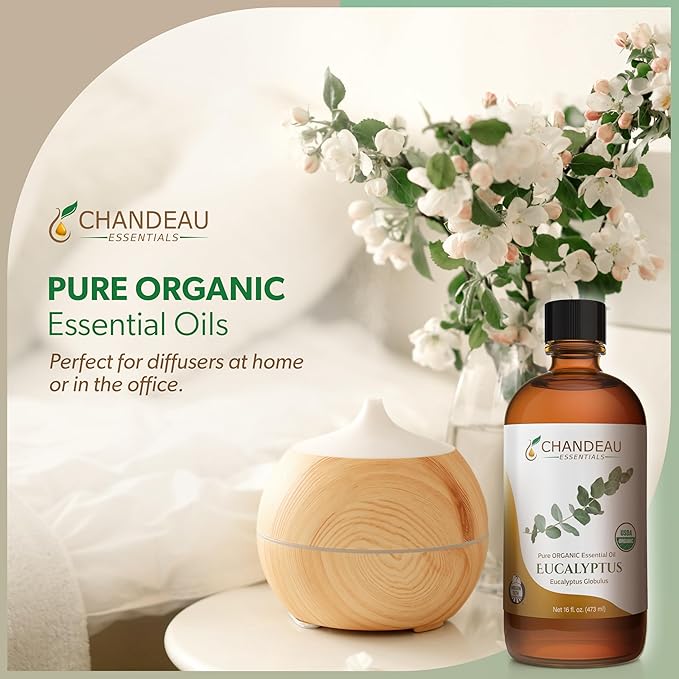 100% Pure Organic Essential Oil, Pure Eucalyptus Essential Oil for Aromatherapy, Soap Making, Candles, Laundry, Perfume, Cleaners or Diffusers - Large Amber Glass Bottle, 16 oz.