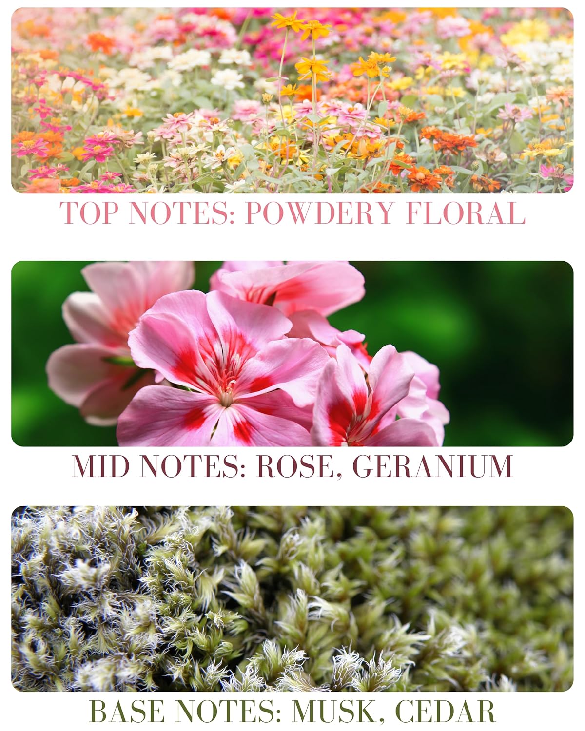 Baby Powder Pure Essential and Fragrance Oil Perfume Roll On with Pure Organic Jojoba Oil, Alcohol Free, Handmade in California