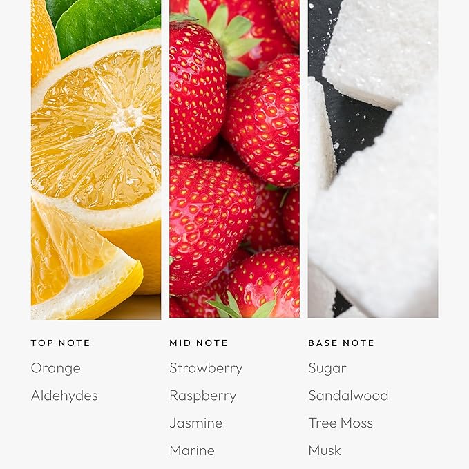 Aroma360 Diffuser Oil - Paradise Lost - Aromatherapy Essential Fragrance Oil - Orange, Raspberry & Marine -120ML 4.1 Fl oz