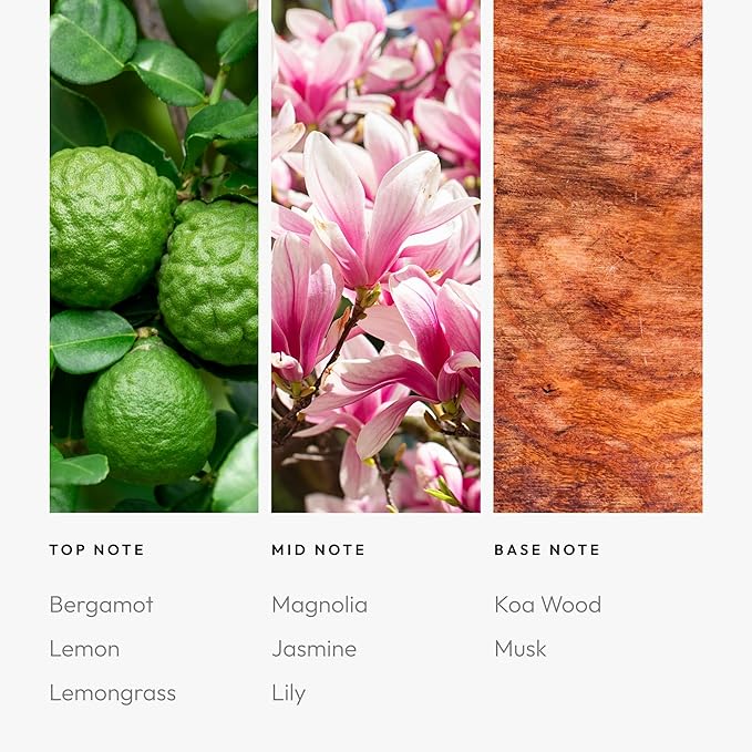 Aroma360-24K Magic Fragrance Oil Blend 50ML | Hotel Inspired Luxury Essential Oil Diffusers | Aromatherapy Scent Diffuser Oil | Citrus Beginning of Bergamot, Lemon & Lemongrass with Notes of Jasmine