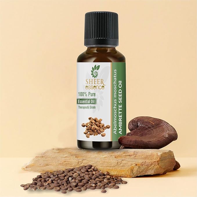 Ambrette Seed Oil (Abelmoschus Moschatus) Essential Oil 100% Pure Natural Undiluted Uncut Therapeutic Grade Oil 16.90 Fl.OZ