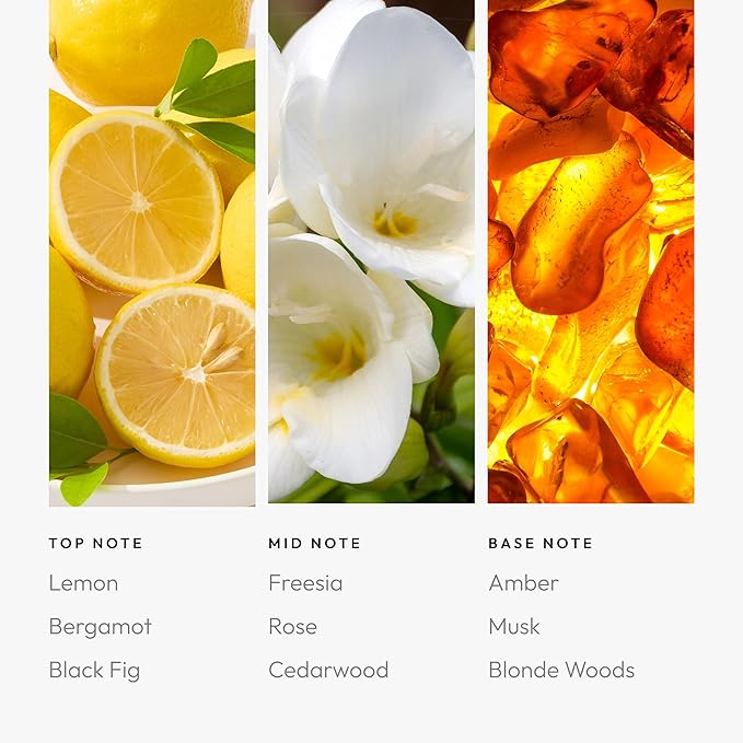 Aroma360 - Black Velvet Oil Blend - Aromatherapy Essential Fragrance Oil - Sandalwood, Warm Virginia Cedar & Beautiful Iris - 120ML 4.1 Fl oz