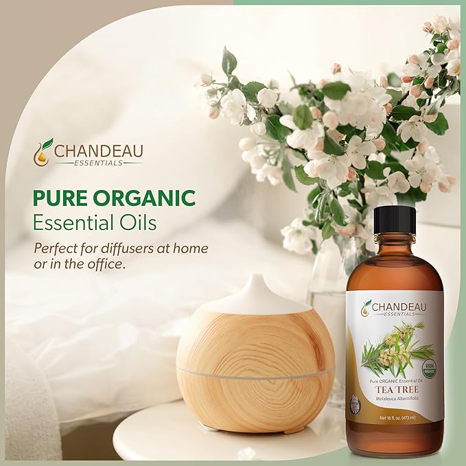 100% Pure Organic Essential Oil, Pure Tea Tree Essential Oil for Aromatherapy, Soap Making, Candles, Laundry, Perfume, Cleaners or Diffusers - Large Amber Glass Bottle, 16 oz.