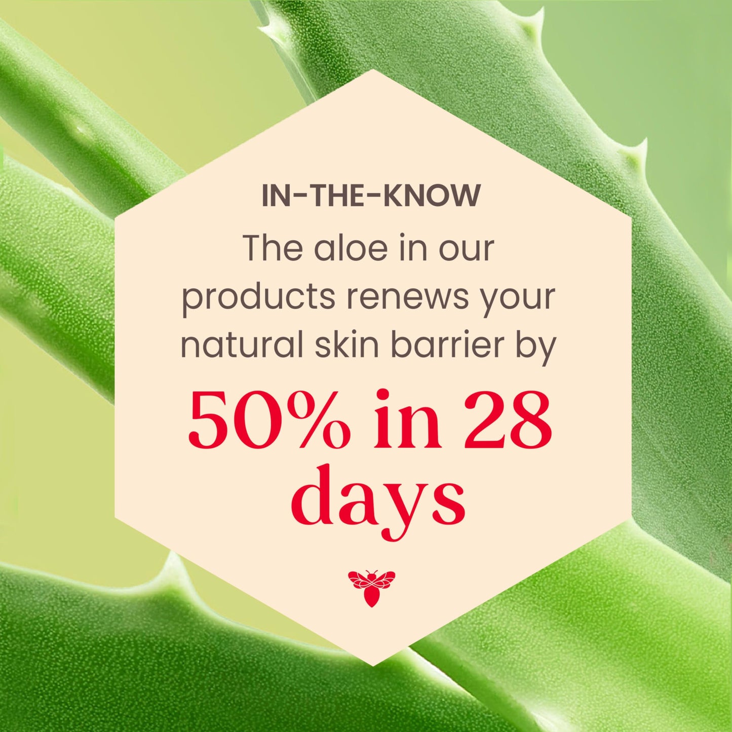 Burt's Bees Back To School Dorm Essentials, Calming Night Cream, With Aloe and Rice Milk, Face Moisturizer For Sensitive Skin, 98.8 Percent Natural Origin, 1.8 oz. Tub