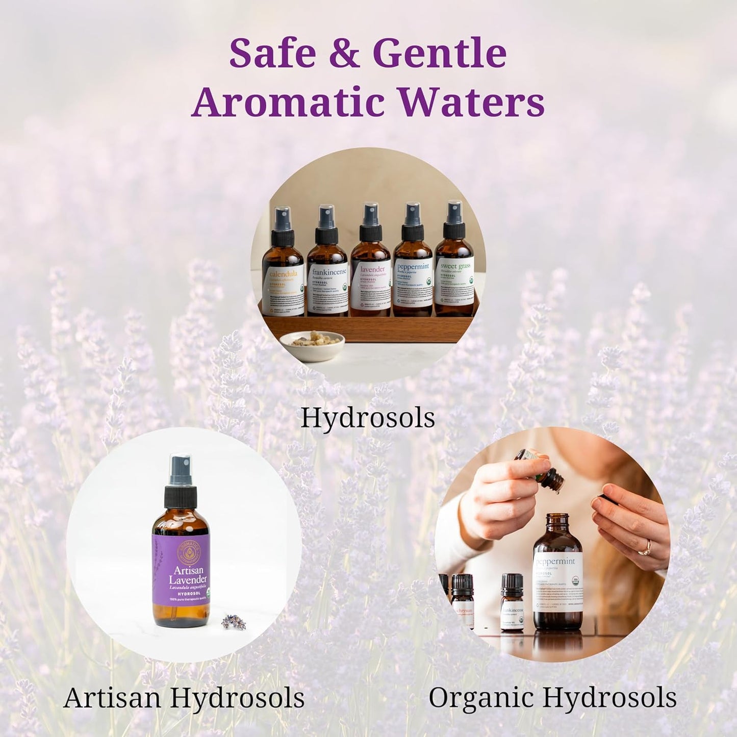 Aromatics International Cinnamon Hydrosol 100ml | Warm Aromatic Mist for Spaces & DIY Blends