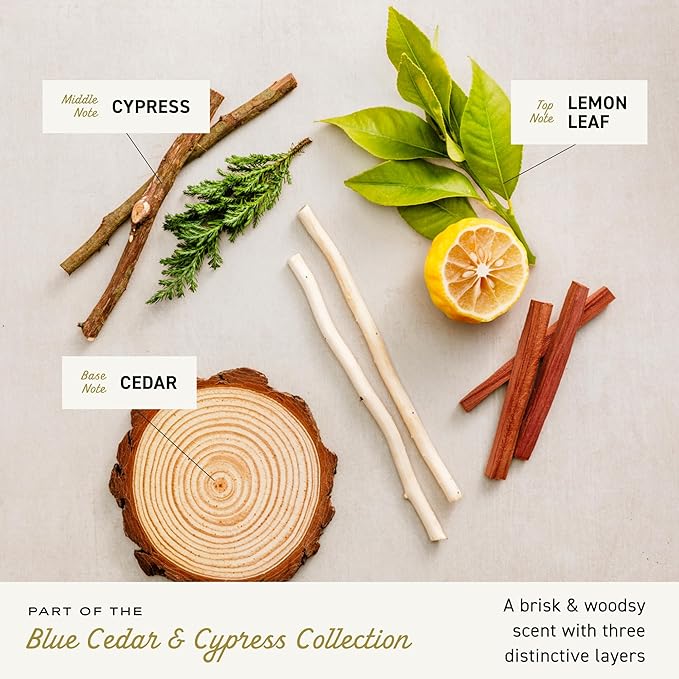 Cremo Body Wash Men, A Woodsy Scent with Notes of Lemon Peel, Cypress and Cedar, 16 Fl Oz