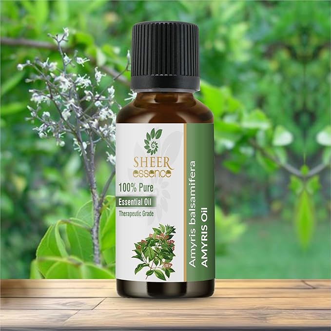 Amyris Oil (West Indian Sandalwood/Torchwood/Candlewood) Essential Oil Steam Distillation 100% Natural Pure Therapeutic Grade for Skin and Frangrance 8.45 Fl.Oz