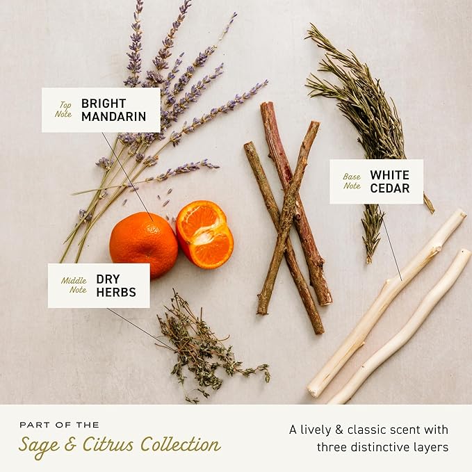 Cremo Body Wash Men, Sage and Citrus , 16 Fl Oz