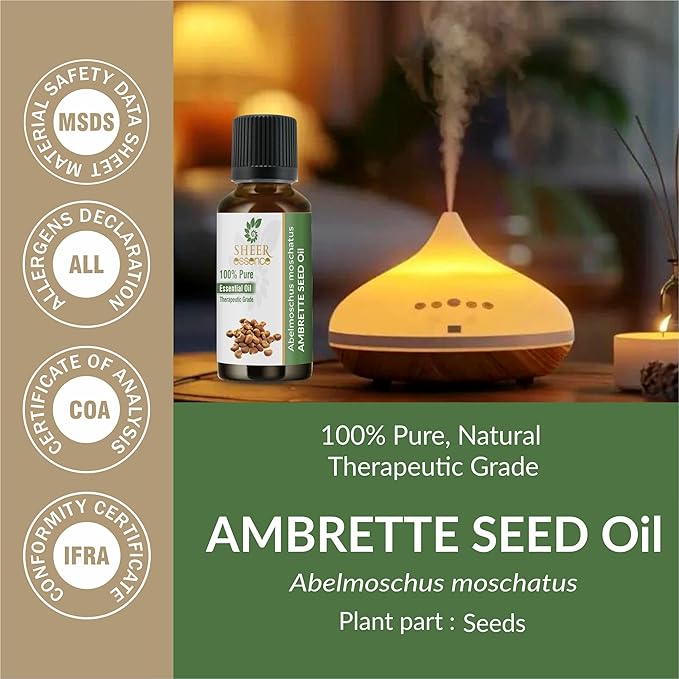 Ambrette Seed Oil (Abelmoschus Moschatus) Essential Oil 100% Pure Natural Undiluted Uncut Therapeutic Grade Oil 8.45 Fl.OZ