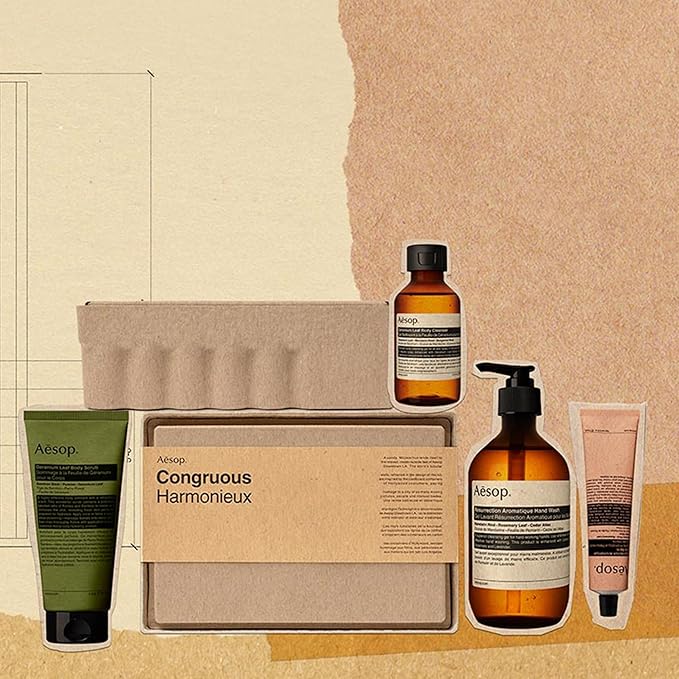 Aesop Congruous Gift Set | Resurrection Aromatique Hand Wash & Balm, Geranium Leaf Body Scrub & Cleanser | Vegan, Cruelty-Free, Paraben-Free | 4 Pc Luxury Self-Care Kit